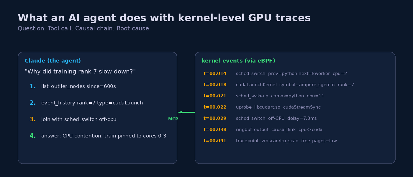 Left panel showing the agent four-step investigation of rank 7 slowdown, right panel showing the raw eBPF kernel event stream that produced the causal chain, MCP arrow linking the two