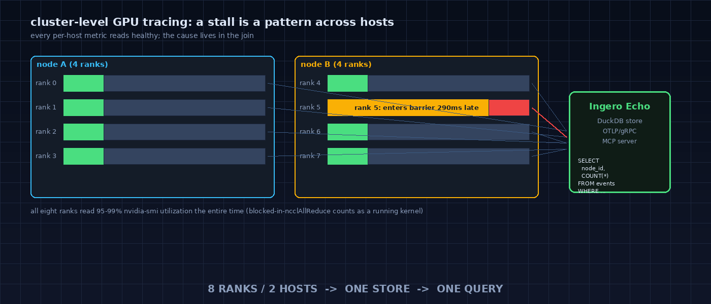 Cluster-level GPU tracing diagram: eight ranks across two hosts (node A, node B) running ncclAllReduce, with rank 5 entering the barrier 290ms late and the other seven ranks blocked-in-ncclAllReduce while reading 95-99% utilization, fan-in into a single Ingero Echo DuckDB store on the right