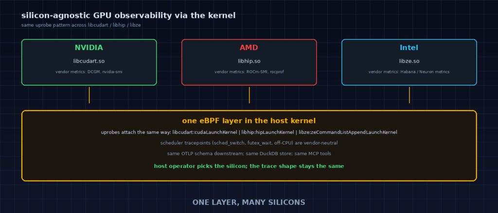 Two parallel GPU stacks side by side: NVIDIA CUDA with libcudart, AMD ROCm with libhip, eBPF uprobes annotated symmetrically.